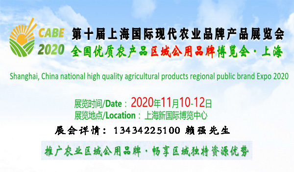 2020ϺF(xin)rI(y)ƷƮaƷչ[rI(y)ʳƷչ