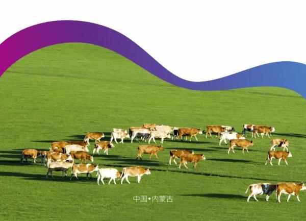 2023(ni)ɹŲʳļA(y)Ʋչ[(hu)