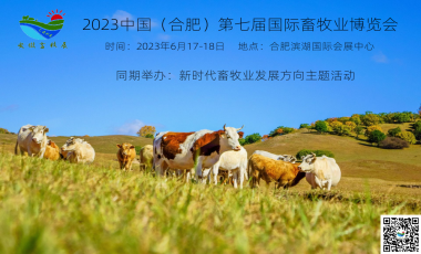 2023ϷI(y)[r(sh)I(y)l(f)չ(dng)