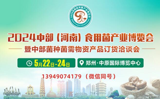 2024вϣʳþa(chn)I(y)[
