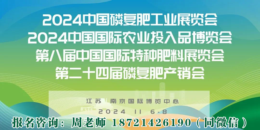 2024Ї׏(f)ʹI(y)չ[(hu)