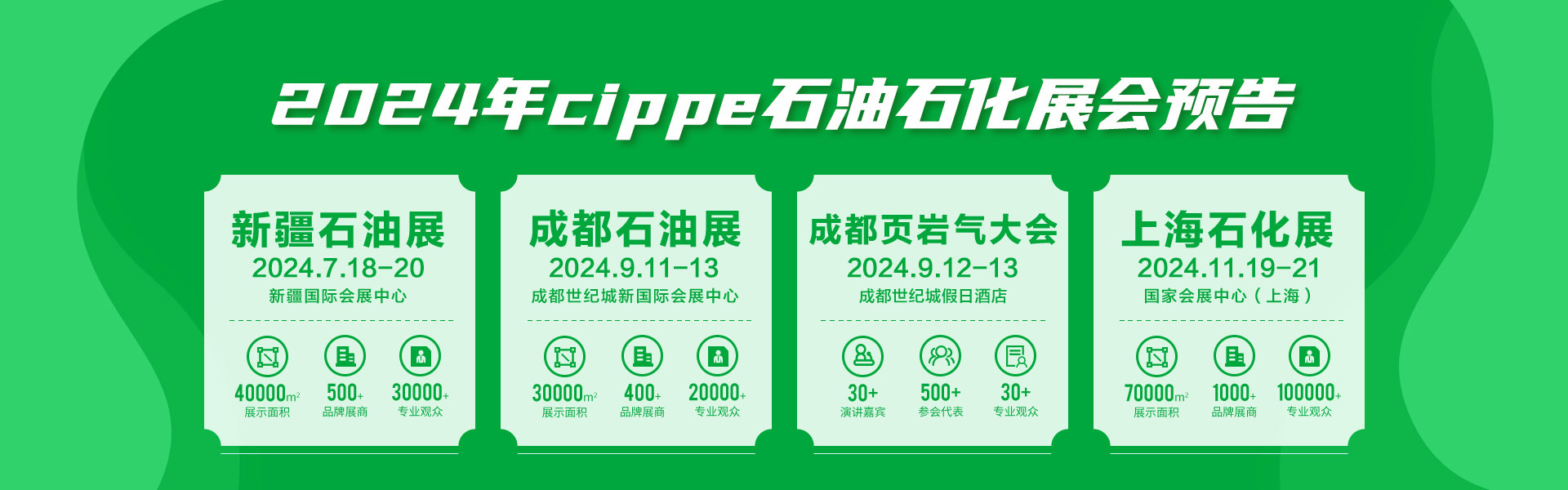 2025CIPE-HʯȻܵc\gbչ[