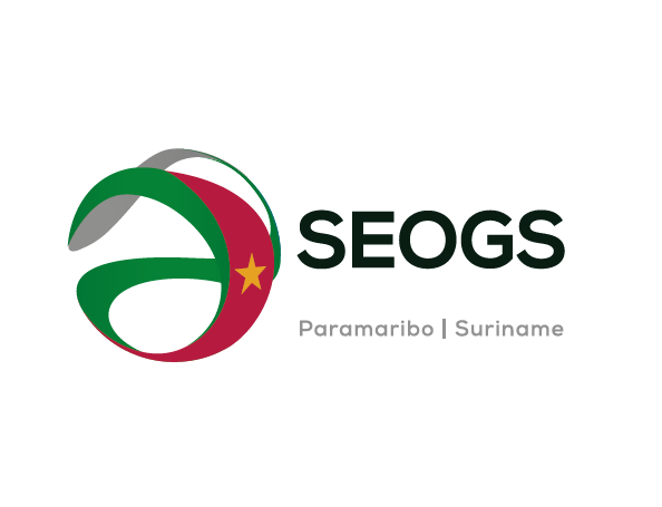 Kχ(gu)Hʯչ[(hu) SEOGS